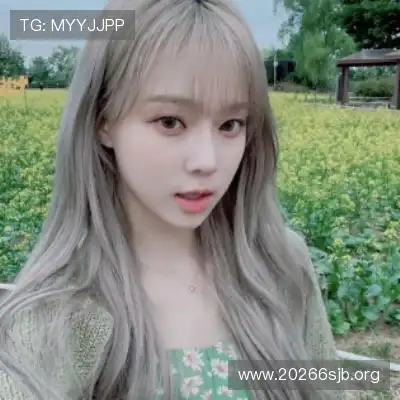梅戈漪